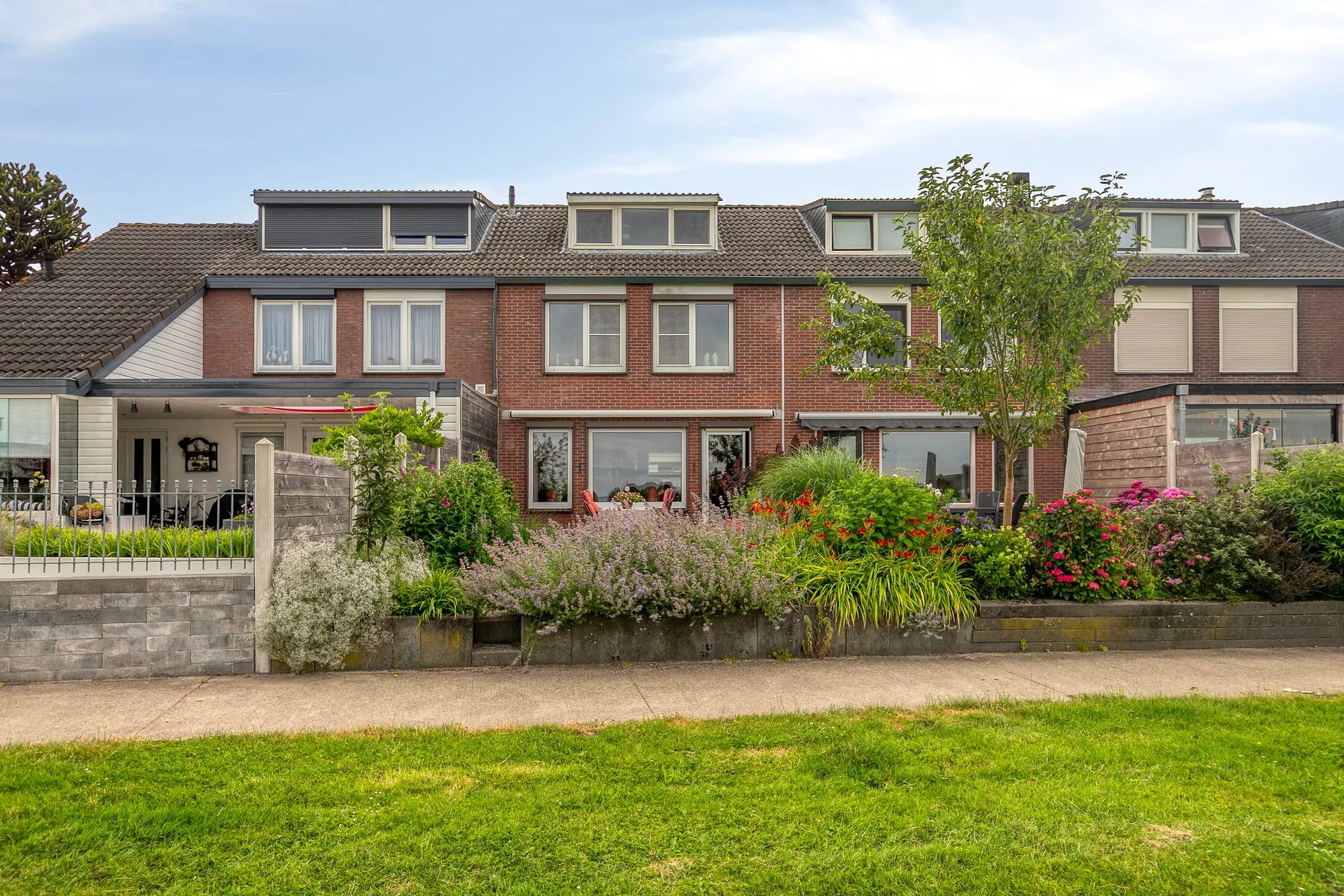 Wilde Zwaan 71 Wilde Zwaan 71
